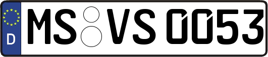 MS-VS0053