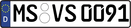 MS-VS0091