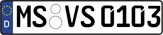 MS-VS0103