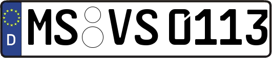 MS-VS0113