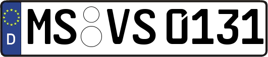 MS-VS0131