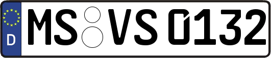 MS-VS0132