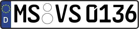 MS-VS0136
