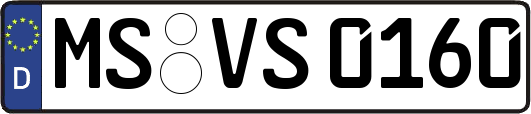 MS-VS0160