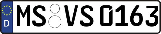 MS-VS0163