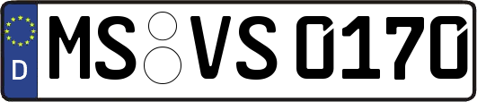 MS-VS0170