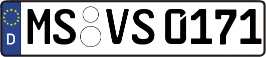 MS-VS0171