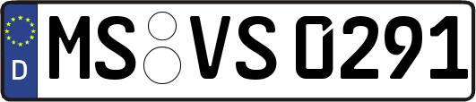 MS-VS0291