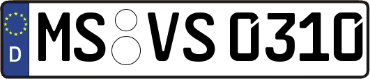 MS-VS0310