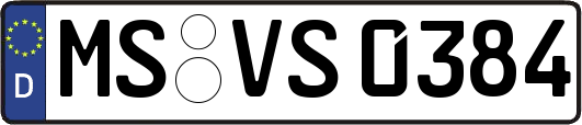 MS-VS0384