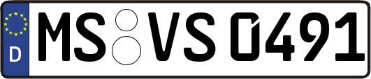 MS-VS0491