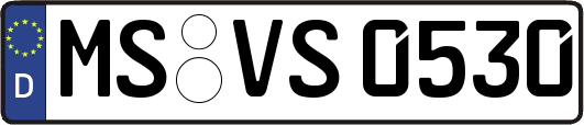 MS-VS0530