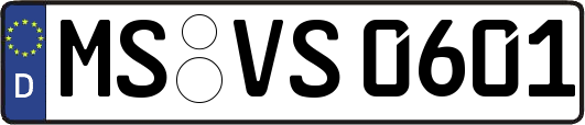 MS-VS0601