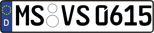 MS-VS0615