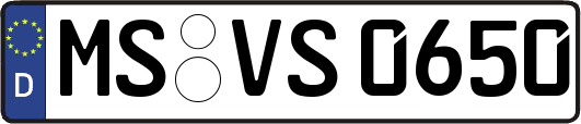 MS-VS0650