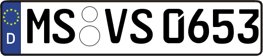 MS-VS0653