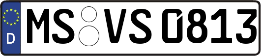 MS-VS0813