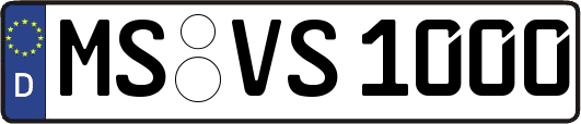 MS-VS1000