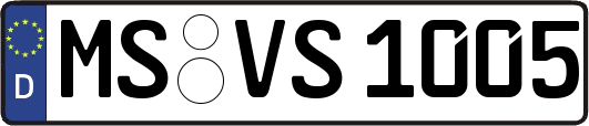 MS-VS1005