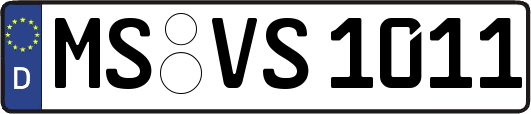 MS-VS1011