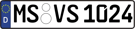 MS-VS1024