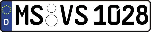 MS-VS1028