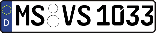 MS-VS1033