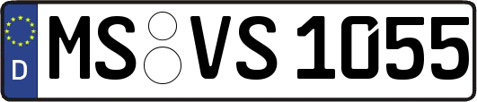 MS-VS1055