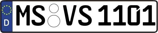 MS-VS1101