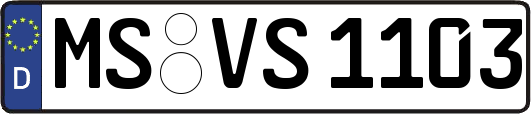 MS-VS1103
