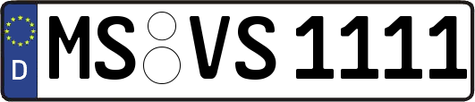 MS-VS1111