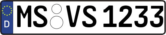 MS-VS1233