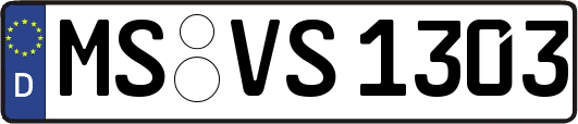 MS-VS1303