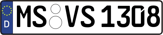 MS-VS1308