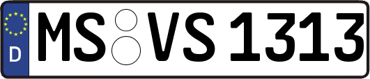 MS-VS1313