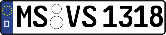 MS-VS1318