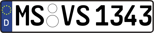 MS-VS1343