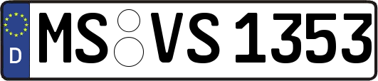 MS-VS1353
