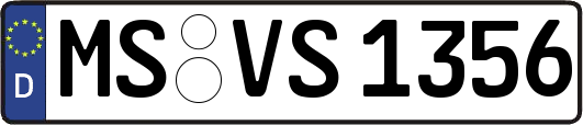 MS-VS1356