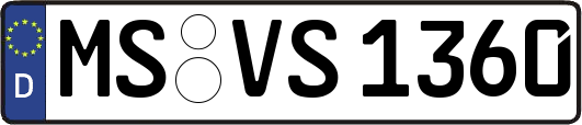 MS-VS1360