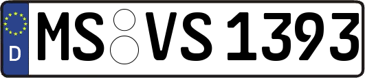 MS-VS1393