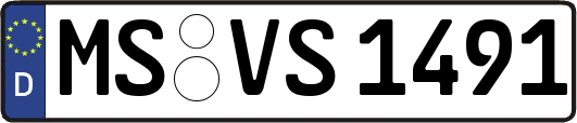 MS-VS1491