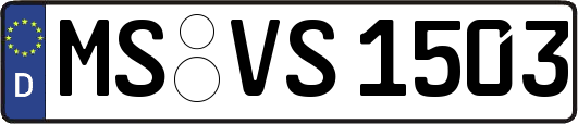 MS-VS1503