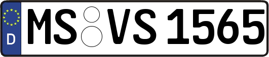 MS-VS1565