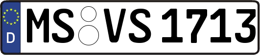 MS-VS1713