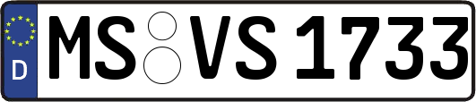 MS-VS1733