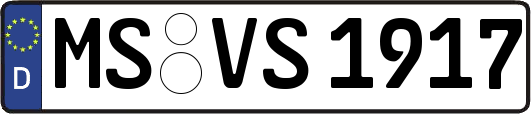 MS-VS1917