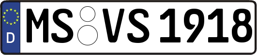 MS-VS1918