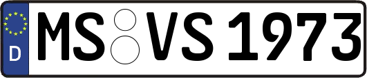MS-VS1973