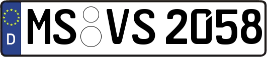 MS-VS2058